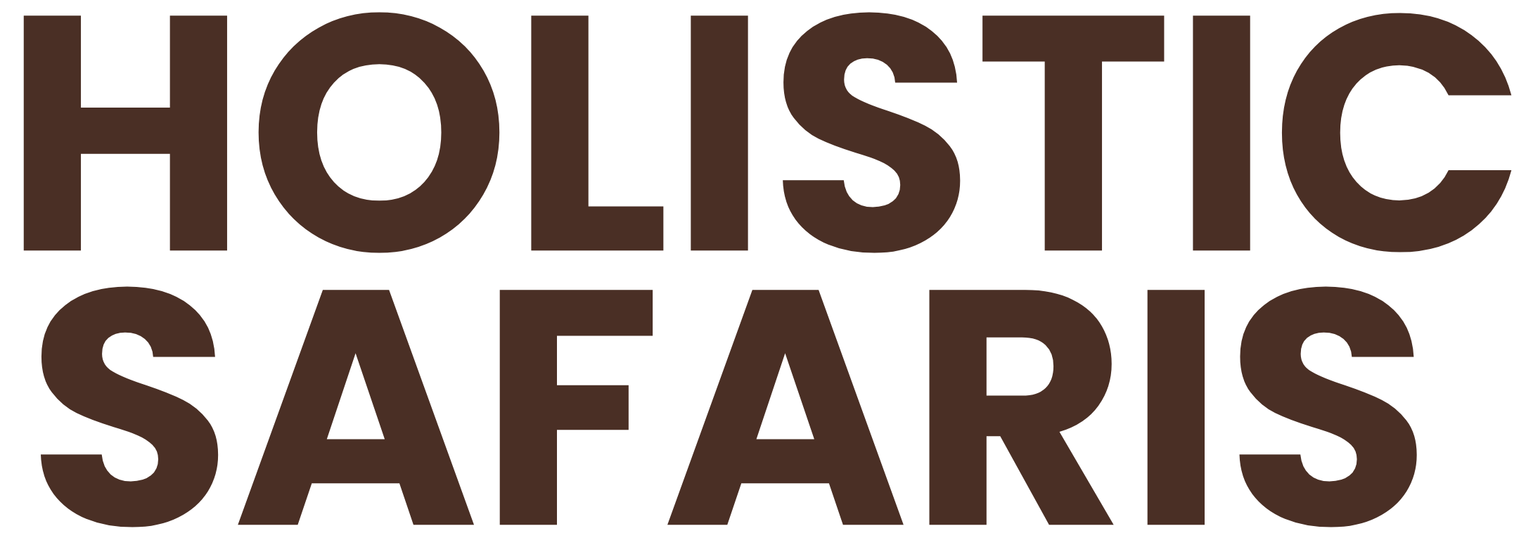 Holistic Safaris Logo